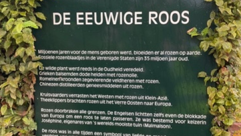 Rozentuin Sint-Pieters-Leeuw