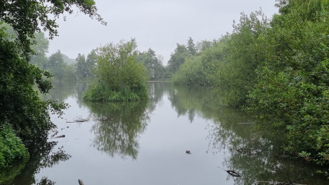 Donkmeer Overmere Berlare